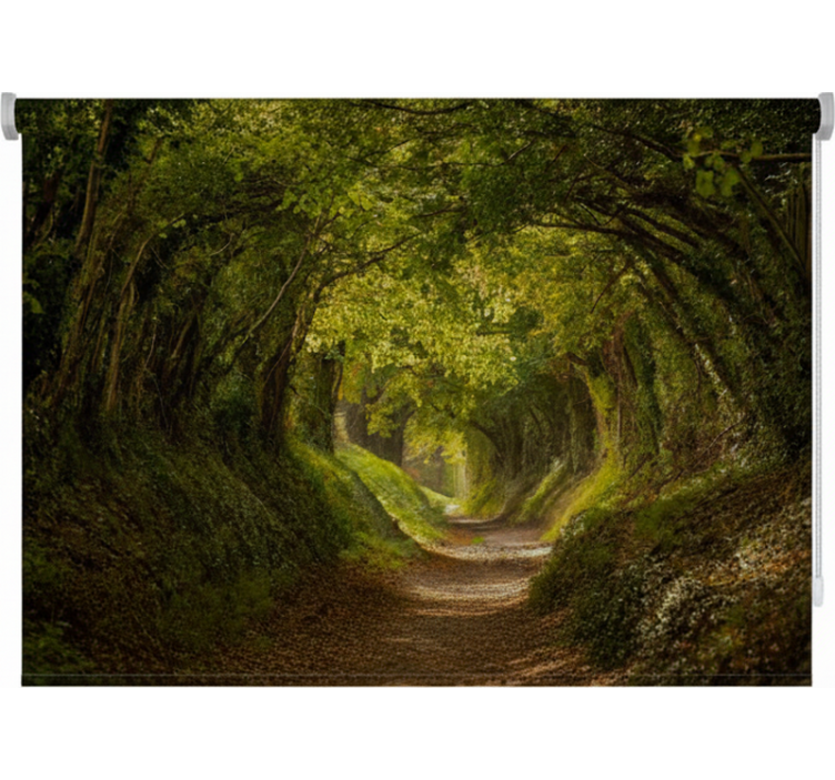 Tenda a rullo alberi sentiero verde inglese - TenStickers