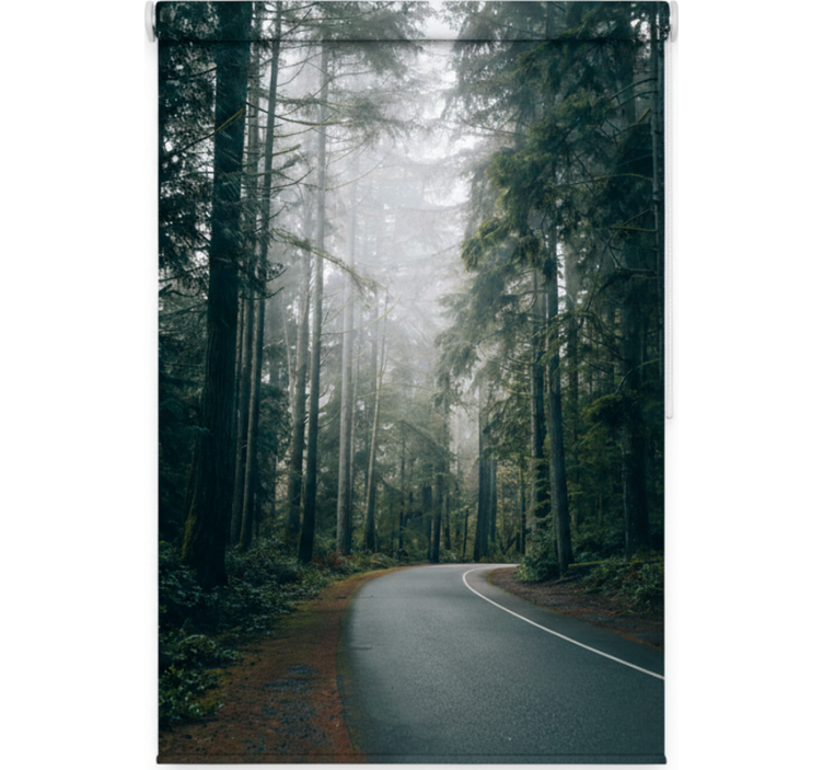 Tenda a rullo alberi strada dei pini nebulosa - TenStickers