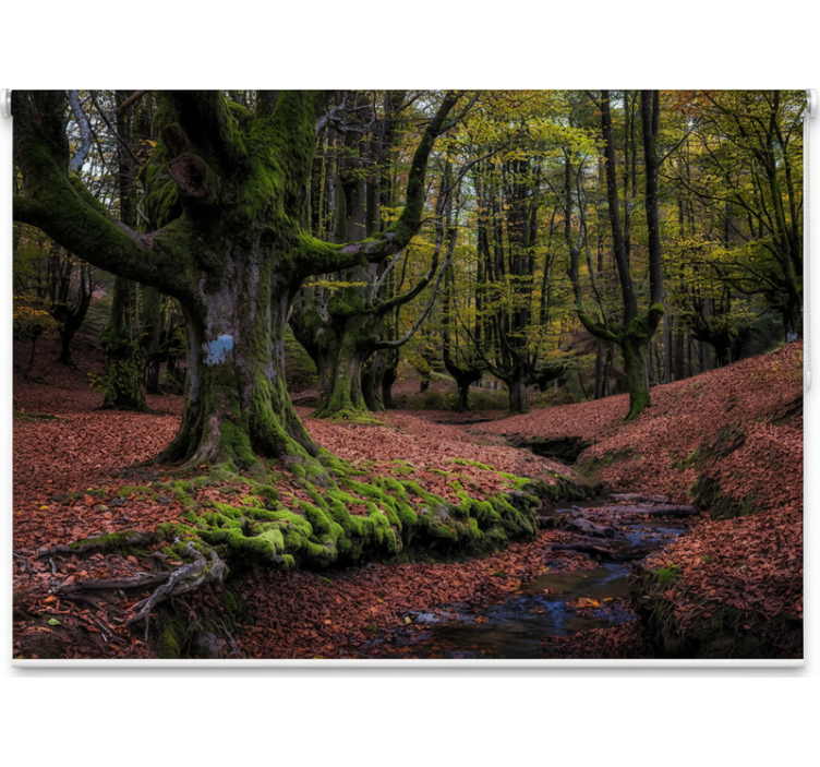 Tenda a rullo alberi foresta incantata d'autunno - TenStickers