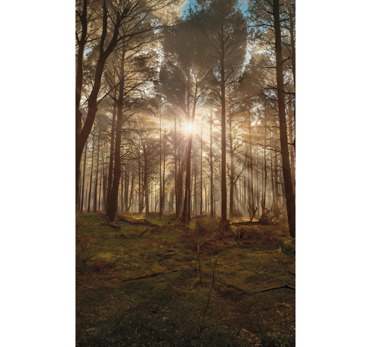 Tenda a rullo alberi sala faunistica dorata - TenStickers