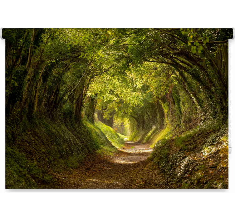 Tenda a rullo alberi murale forestale immersivo - TenStickers