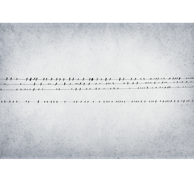 Tenda a rullo bianca concerto di uccelli su fili - TenStickers