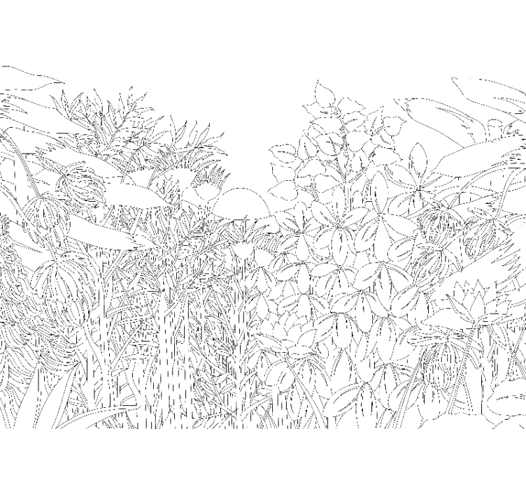 Tenda a rullo bianca schizzo giungla tropicale - TenStickers