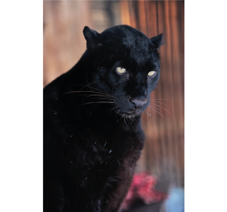 Tenda a rullo soggiorno leopardo in agguato - TenStickers