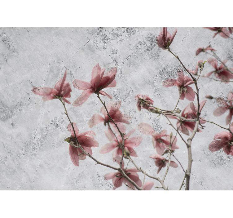 Tenda a rullo soggiorno design magnolia elegante - TenStickers