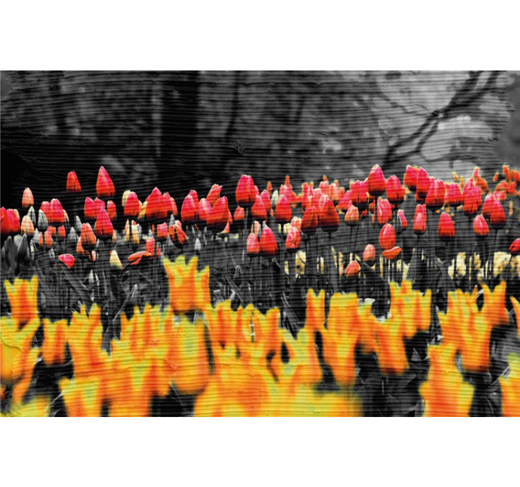 Tenda a rullo soggiorno diversi campi di fiori - TenStickers