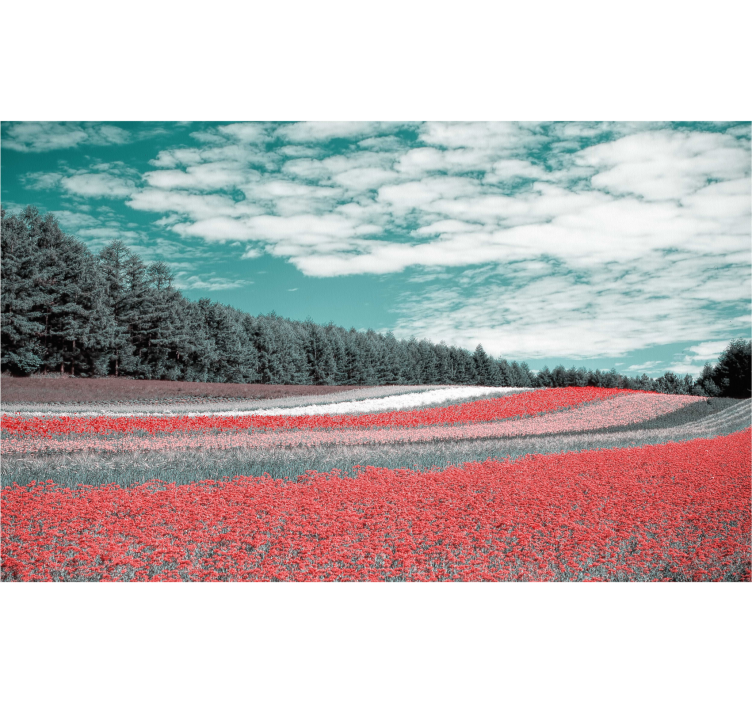 Tenda a rullo soggiorno campo di fiori diverso - TenStickers