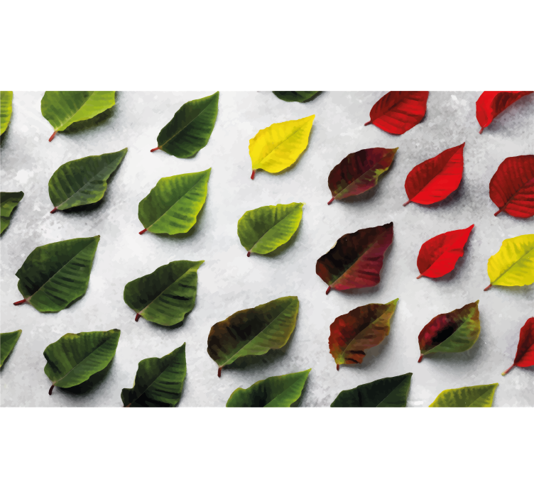 Tenda a rullo soggiorno vista dall'alto foglie colorate - TenStickers