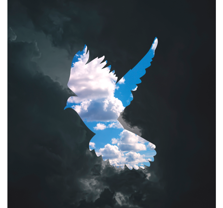 Tenda a rullo soggiorno colombe di rené magritte - TenStickers