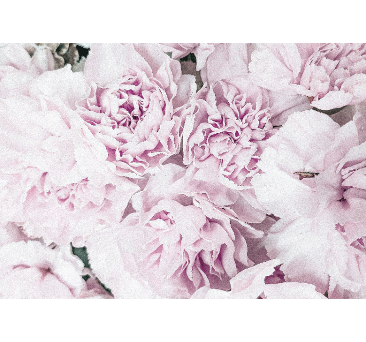 Tenda a rullo soggiorno design fiori peonie rosa elegante - TenStickers