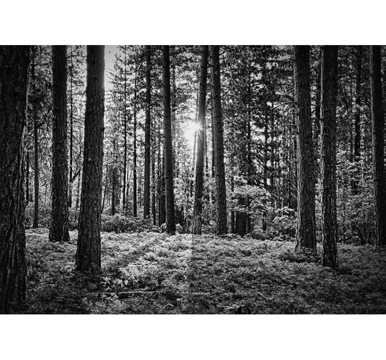 Tenda a rullo nera foresta monocromatica - TenStickers