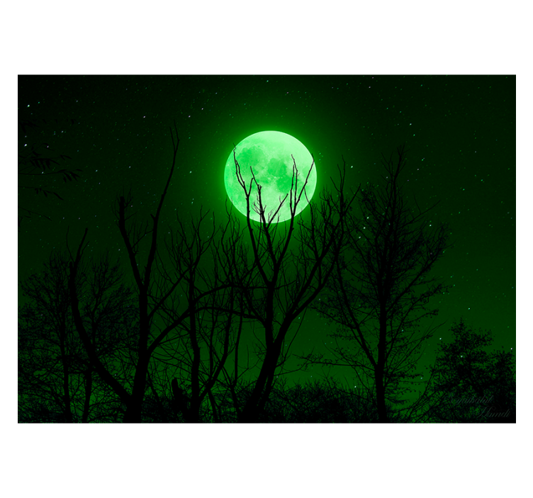 Tenda a rullo nera luna verde - TenStickers