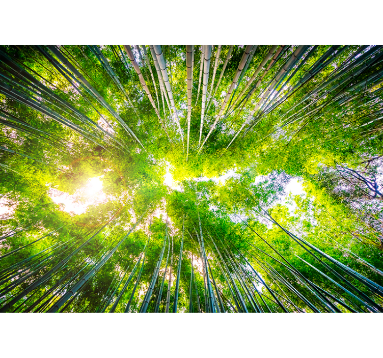 Tenda a rullo soggiorno tenda a baldacchino in bamboo - TenStickers