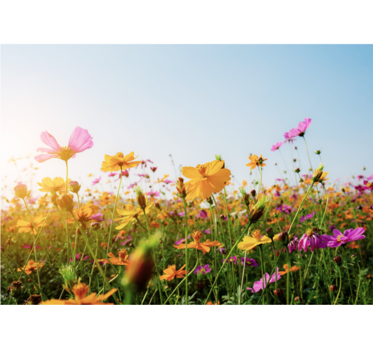 Tenda a rullo soggiorno mix di fiori - TenStickers