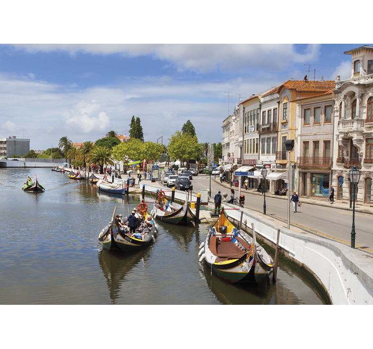 Tenda a rullo soggiorno aveiro moliçeiro - TenStickers