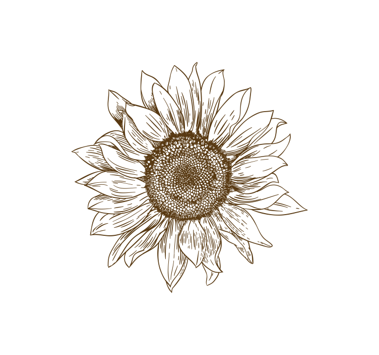 Tenda a rullo fiori e piante disegno girasole - TenStickers