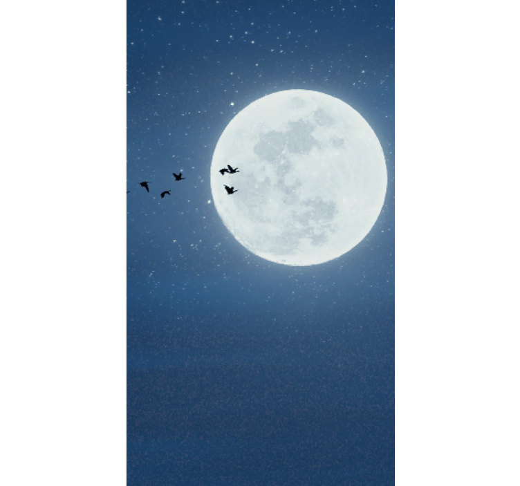 Tenda a rullo con luna piena e uccelli - TenStickers