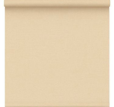Tenda a rullo per ufficio beige semplice trasparente - TenStickers