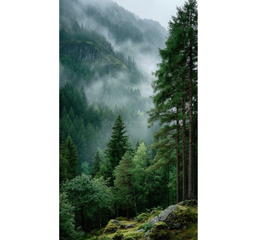Tenda a rullo alberi la scelta melanconica - TenStickers