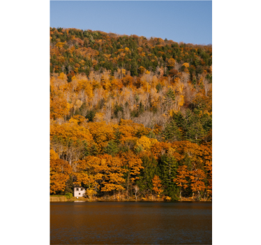 Tenda a rullo soggiorno lago e alberi dorati - TenStickers
