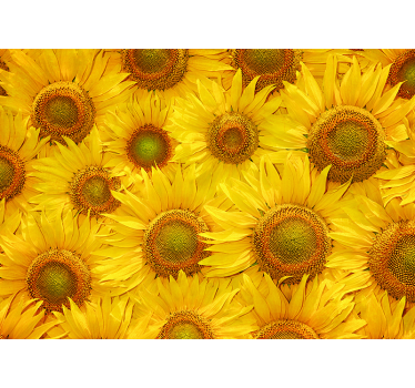 Tenda a rullo gialla girasoli - TenStickers