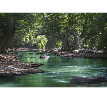 Tenda a rullo soggiorno foresta e fiume - TenStickers