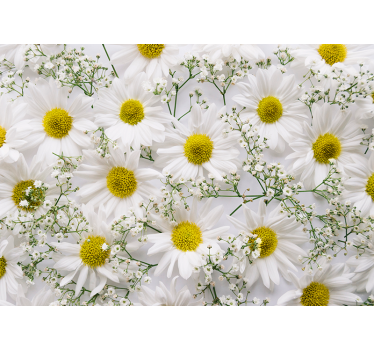 Tenda a rullo soggiorno fiore di margherita - TenStickers