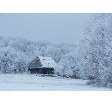 Tenda a rullo soggiorno cortile innevato - TenStickers