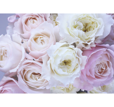 Tenda a rullo soggiorno rose diverse in primo piano - TenStickers