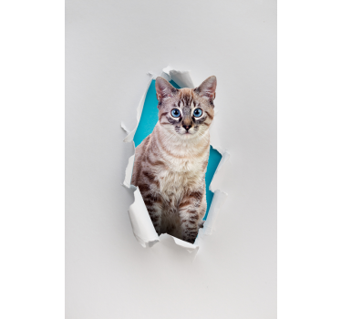 Tende a rullo animali diversi Gatto - TenStickers