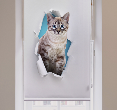 Tende a rullo animali diversi Gatto - TenStickers