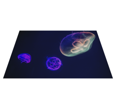 Tovaglietta americana con nome tema meduse colorate - TenStickers