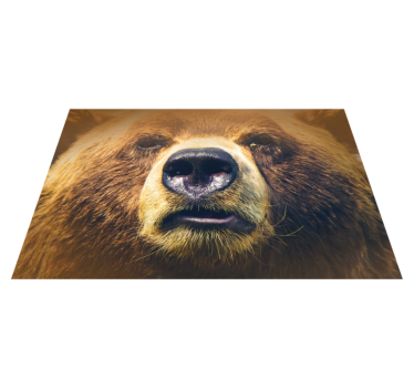 Tovaglietta americana originale primo piano orso - TenStickers