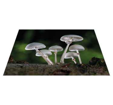Tovaglietta americana originale posate in legno vintage - TenStickers