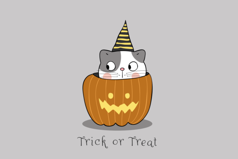 Tovaglietta americana di halloween gatto nella zucca - TenStickers
