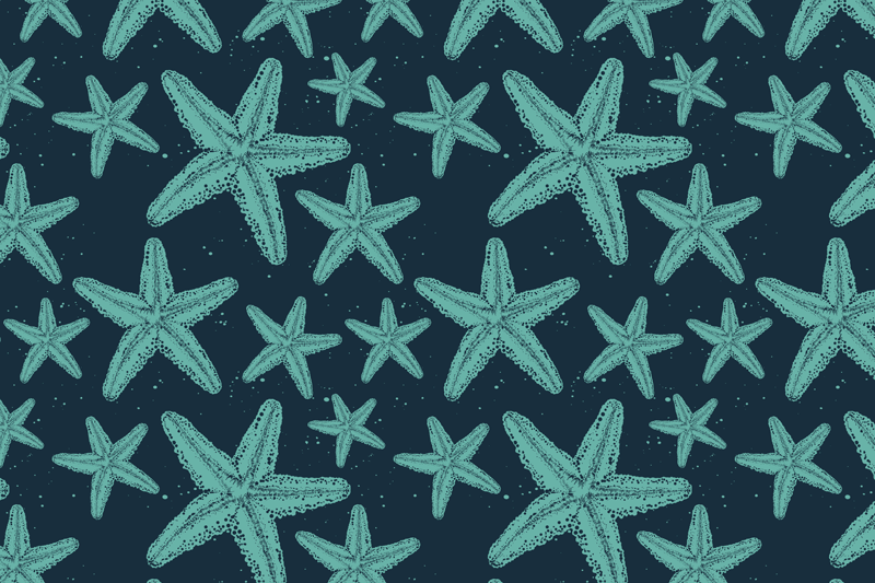 Tovaglietta americana originale motivo stelle marine - TenStickers