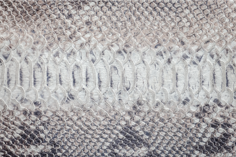 Tovaglietta americana textu texture pelle di serpente - TenStickers