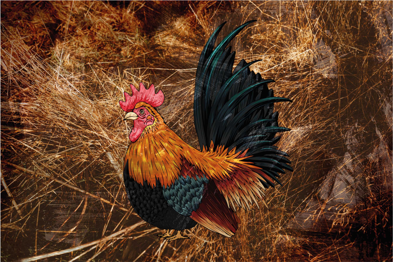 Tovaglietta americana originale con arte del gallo vibrante - TenStickers