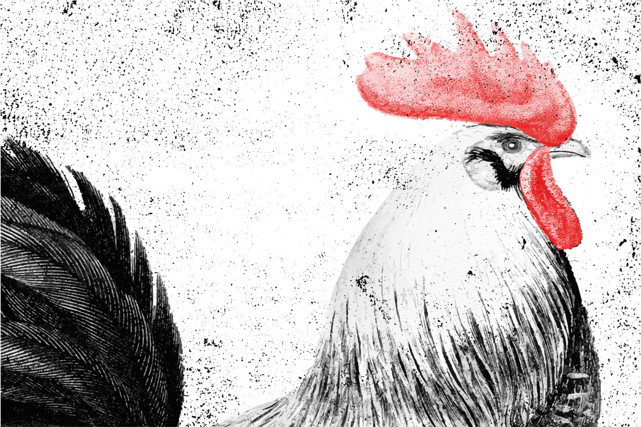 Tovaglietta americana originale illustrazione gallo - TenStickers