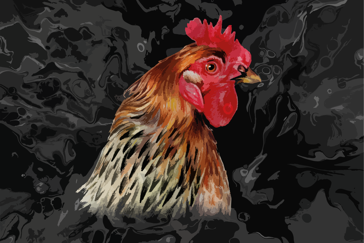 Tovaglietta americana originale ritratto di pollo colorato - TenStickers