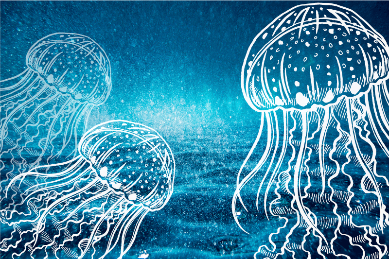 Tovaglietta americana originale scena oceano meduse - TenStickers