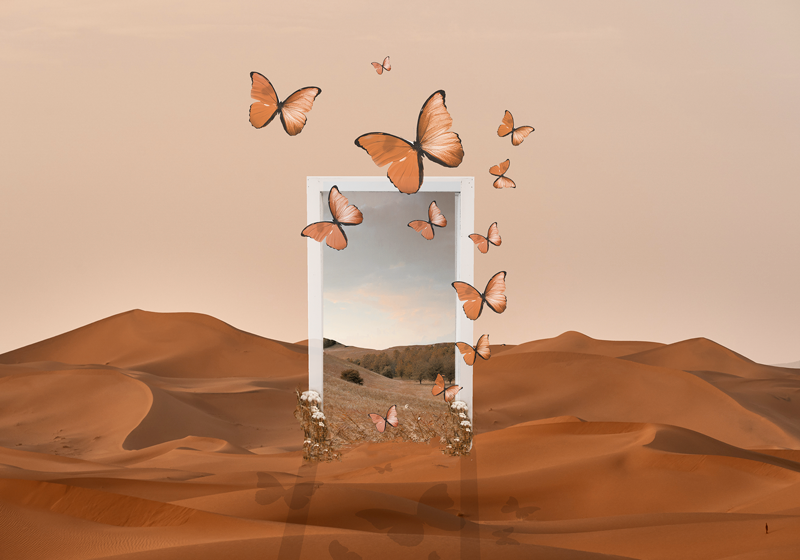 Tovaglietta americana originale cornice di farfalle - TenStickers