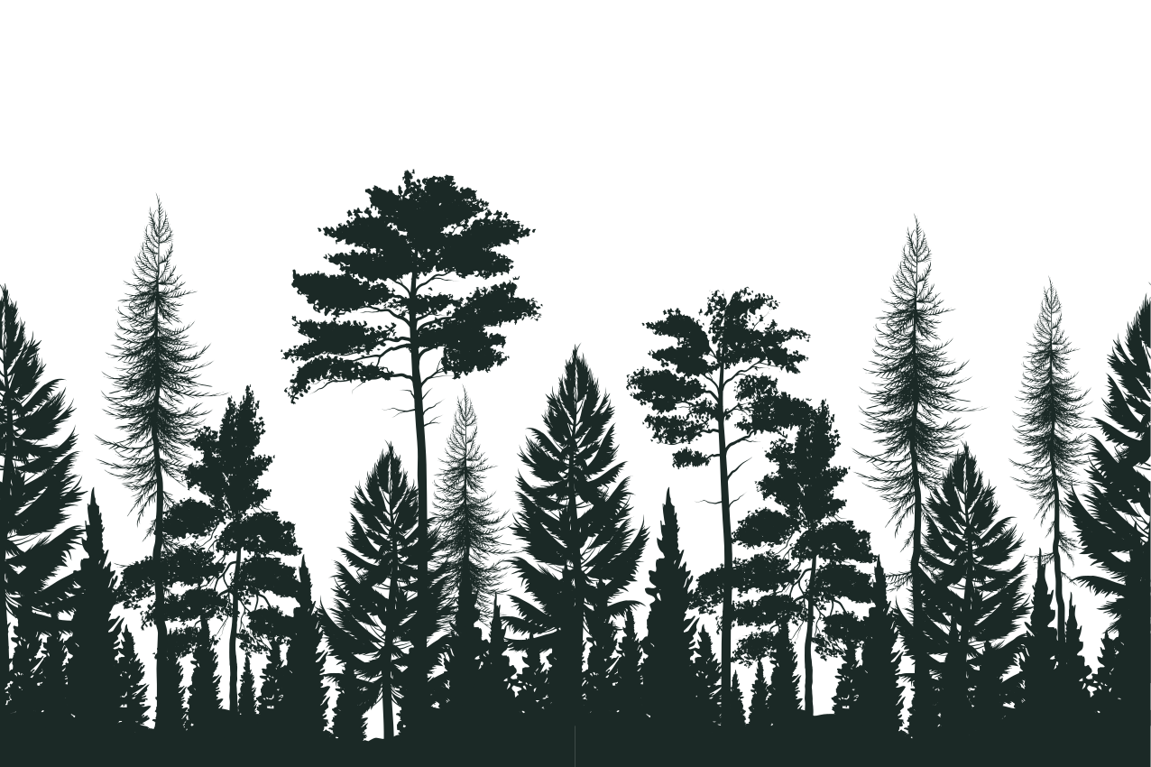 Tovaglietta americana textu motivo silhouette foresta - TenStickers