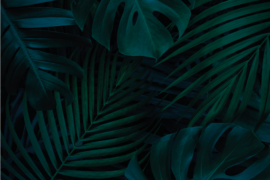 Tovaglietta americana textu fascino foglia tropicale - TenStickers