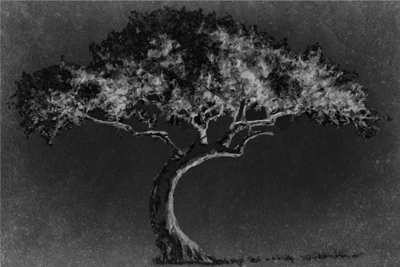 Tovaglietta americana textu silhouette artistica albero - TenStickers