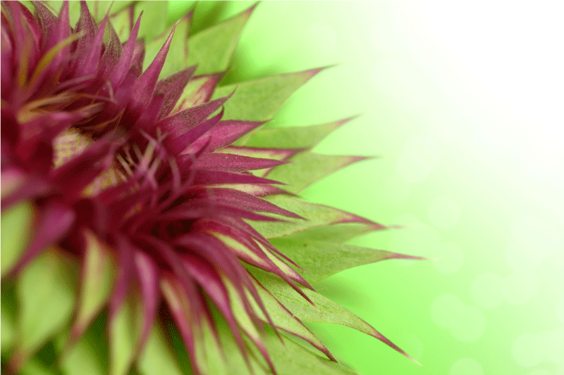 Tovaglietta in vinile stile floreale - TenStickers