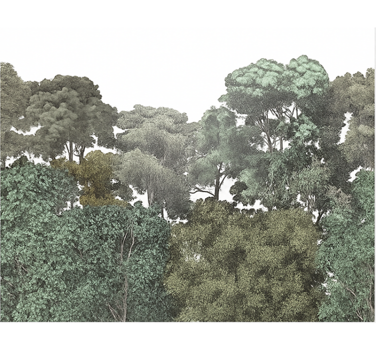 Fotomurale cameretta ragazzi  motivo della foresta pluviale - TenStickers