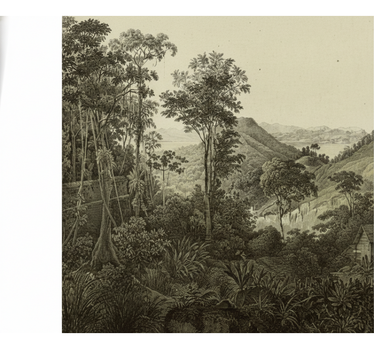 Fotomurale foresta stampa collinare - TenStickers