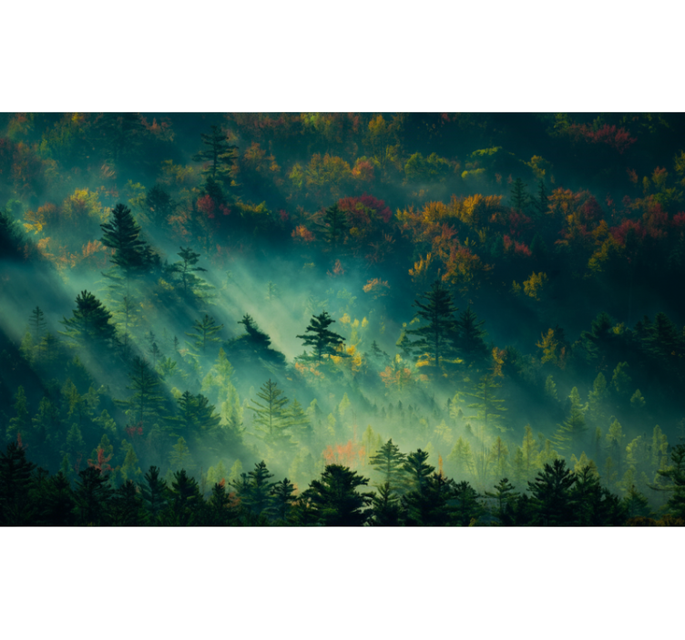 Fotomurale foresta la foresta melanconica - TenStickers