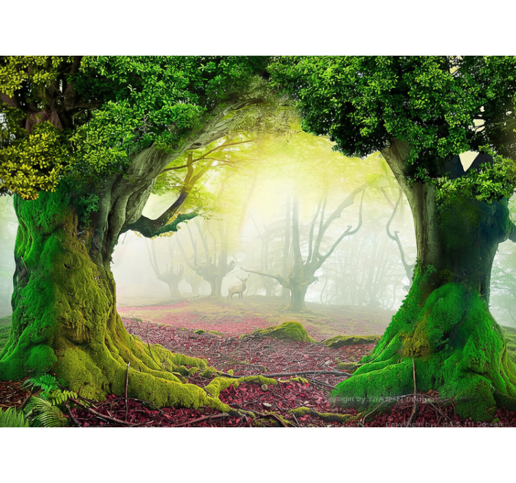 Fotomurali natura porta della foresta eterna - TenStickers